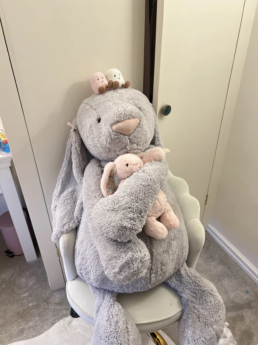 Lifestyle - Bashful Silver Bunny - Really Really Big photo by scarlettgp10121