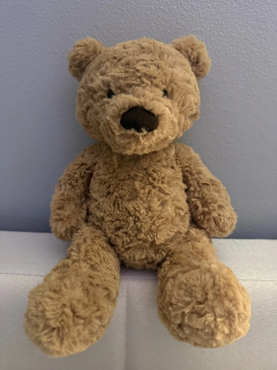 Front - Bumbly Bear - Medium photo by Haley_summers