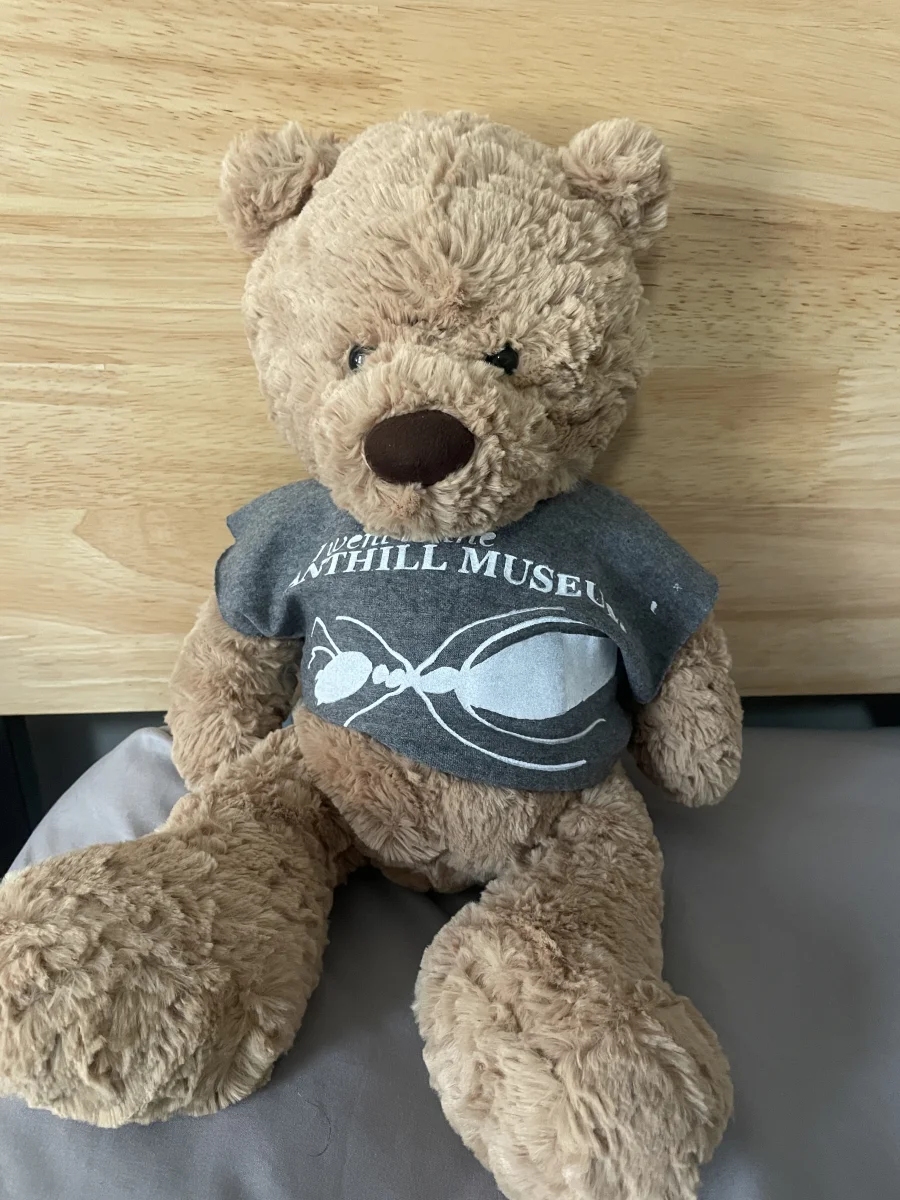 Lifestyle - Bumbly Bear - Medium photo by teddybutch