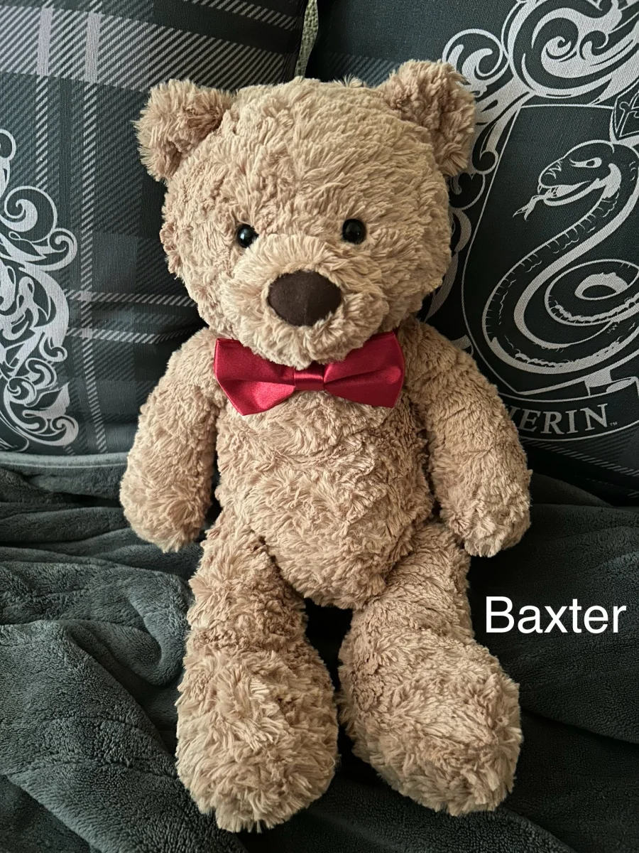 Front - Bumbly Bear - Medium photo by Slytherin2026