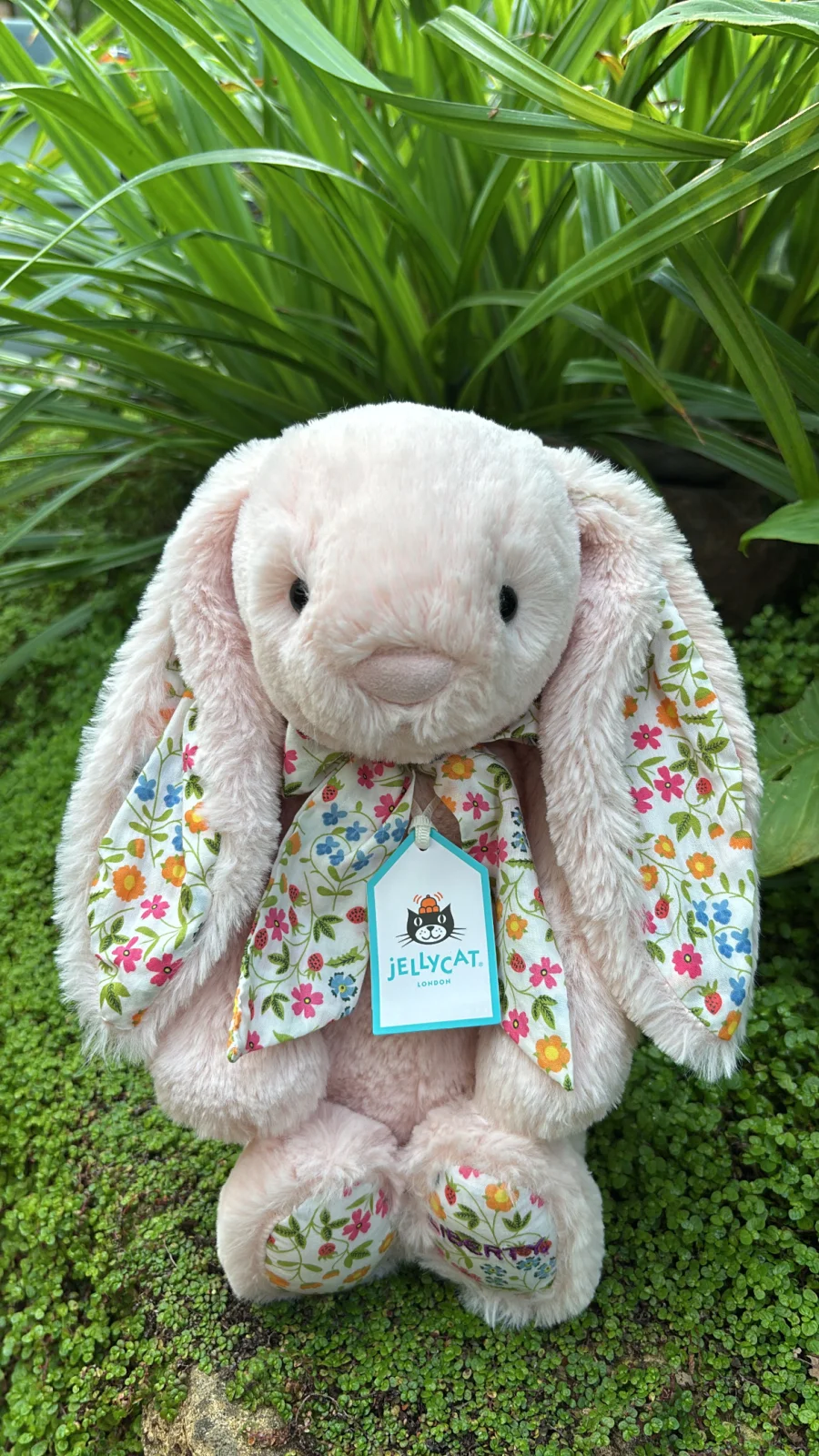 Liberty Mirabelle Bunny Jellycat Photo by Jelly_Journey | Jelly