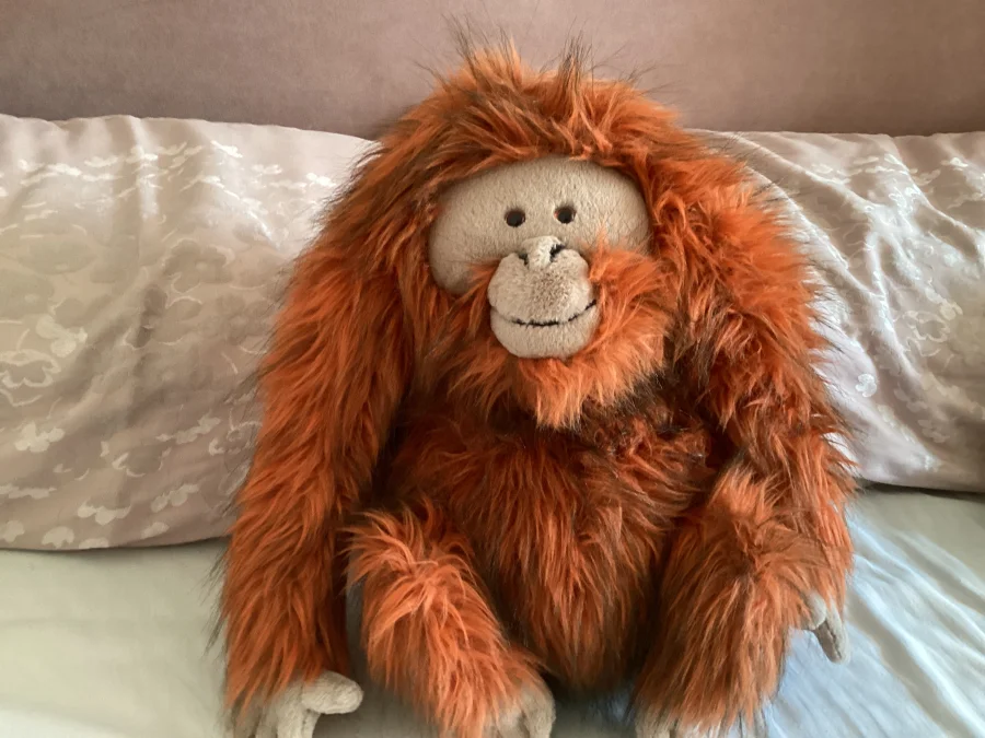 Front - Oswald Orangutan photo by JellycatAlex