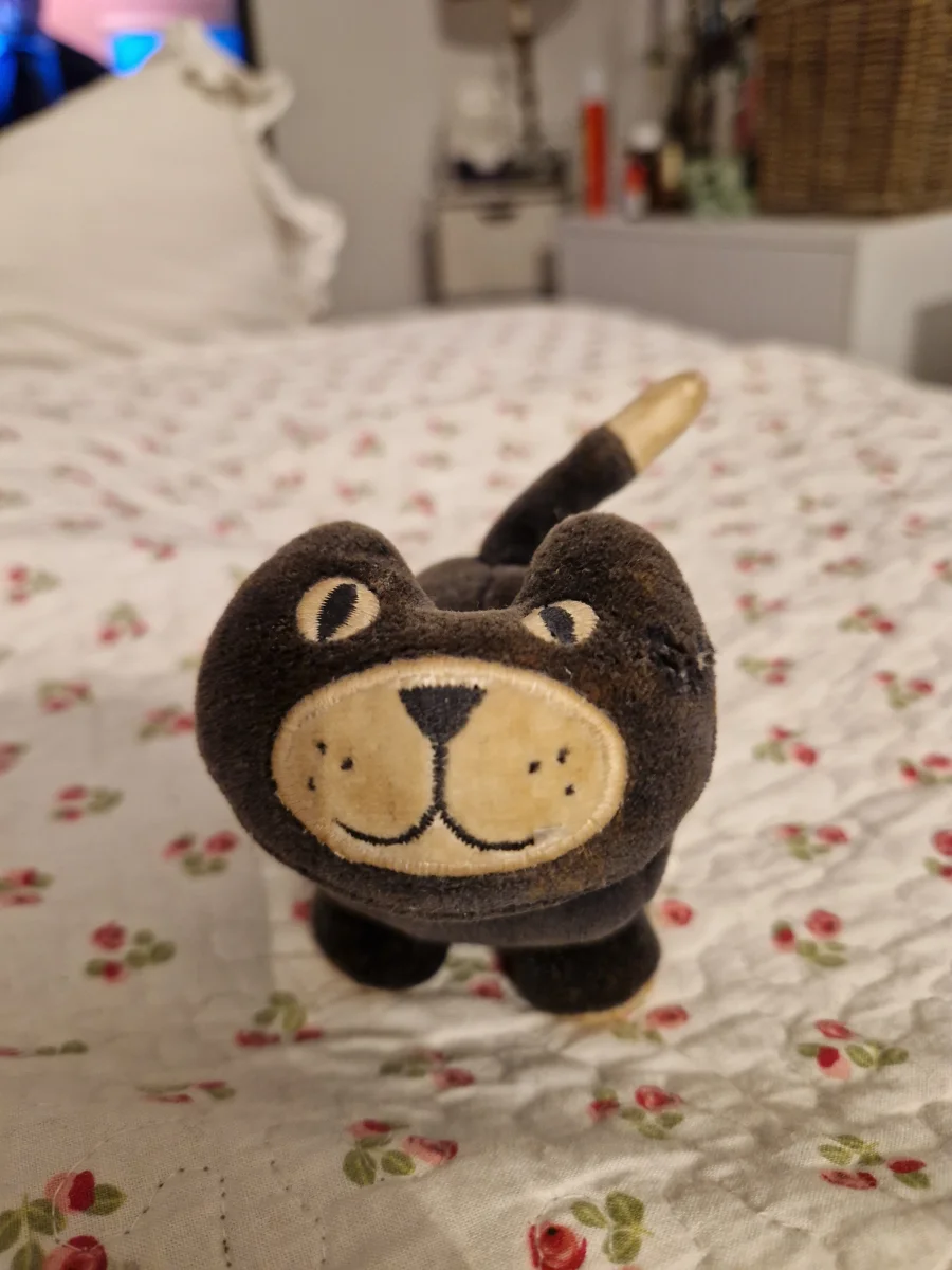 Front - Crazy Jellycat photo by lserridge