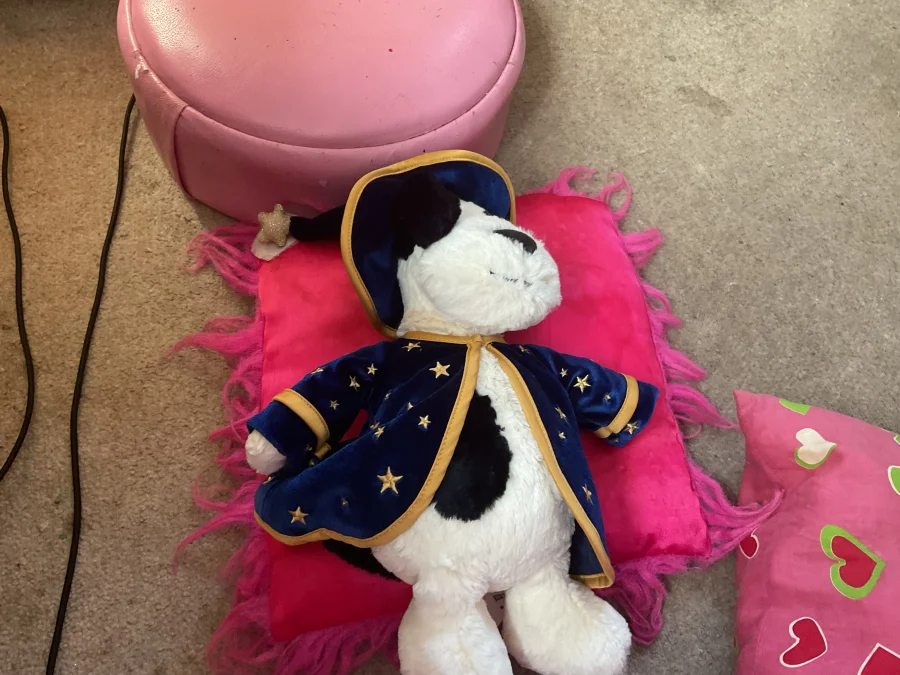 Front - Rufferty Puppy 'Wizard' photo by Milliekitty