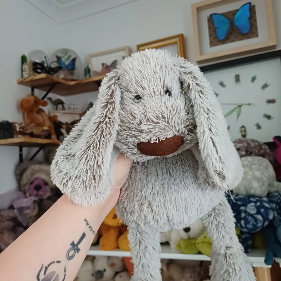 Front - Tweedle Dog photo by herbgardenplush