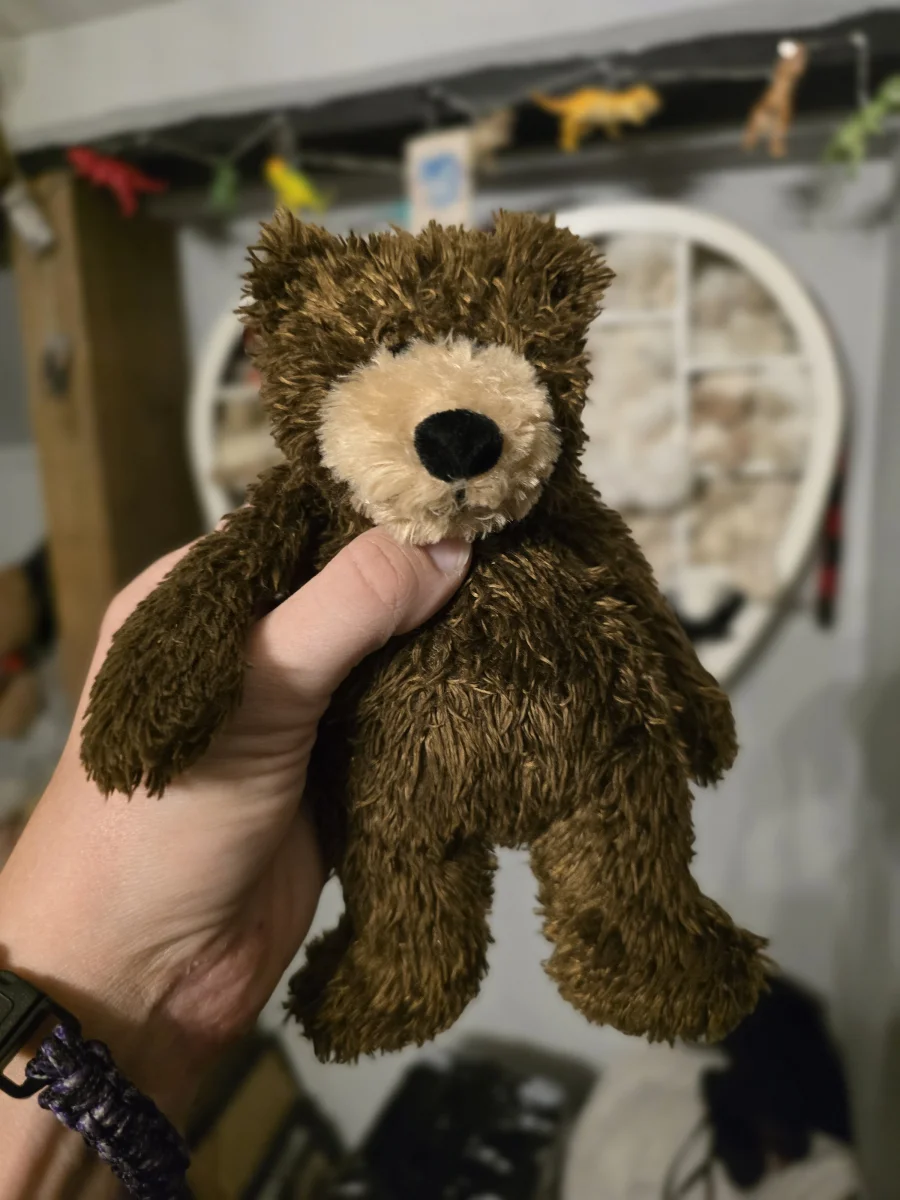 Front - Bunglie Brown Bear - Small photo by Gremlem22NBC