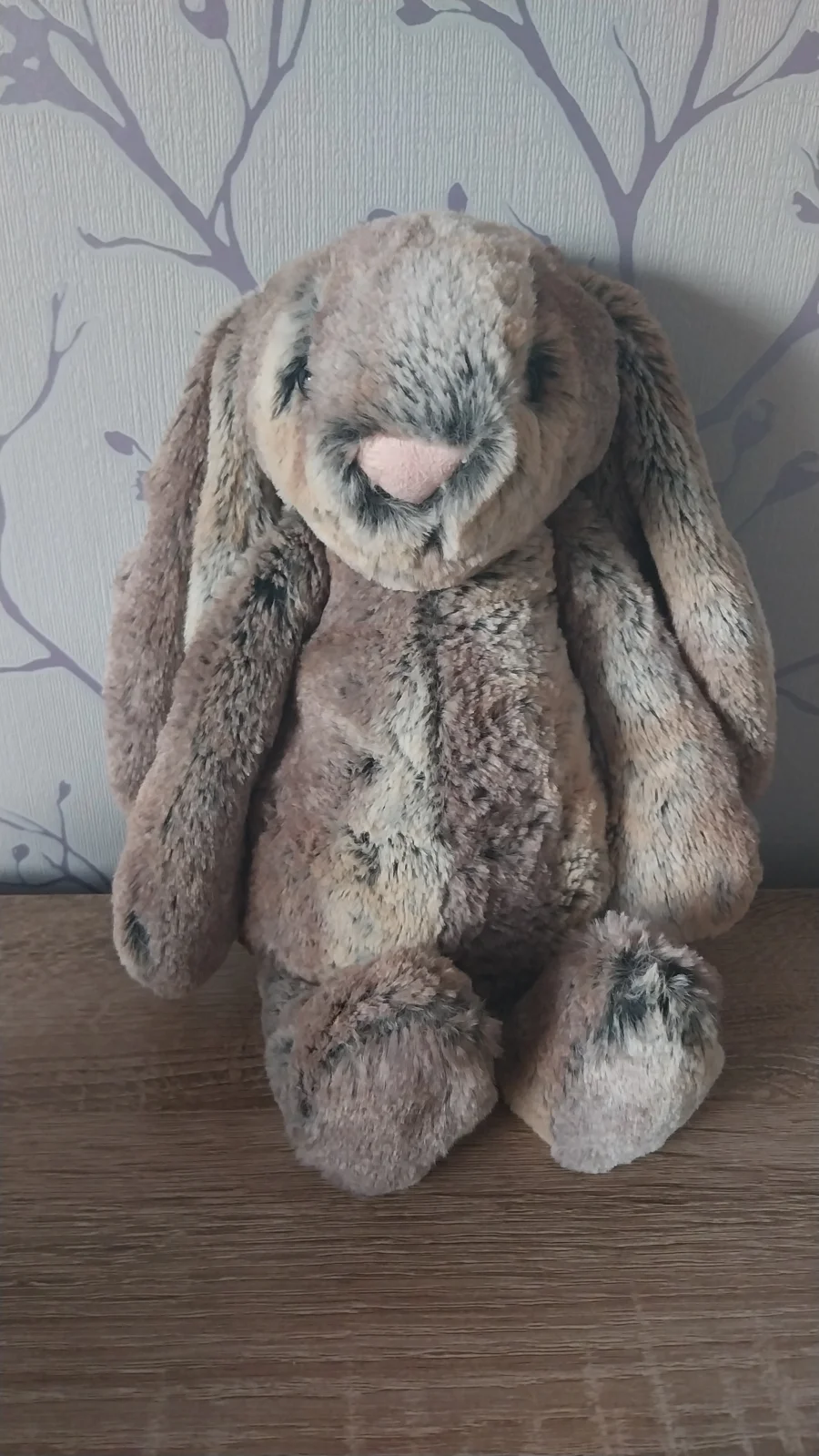 Front - Bashful Cottontail Bunny - Medium photo by Hope_Collectablez