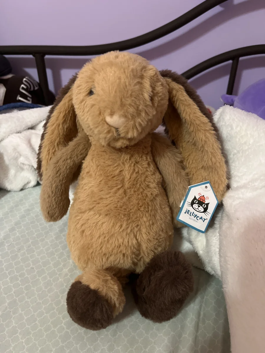 Front - Bashful Patchwork Brown Bunny photo by Brook_21614