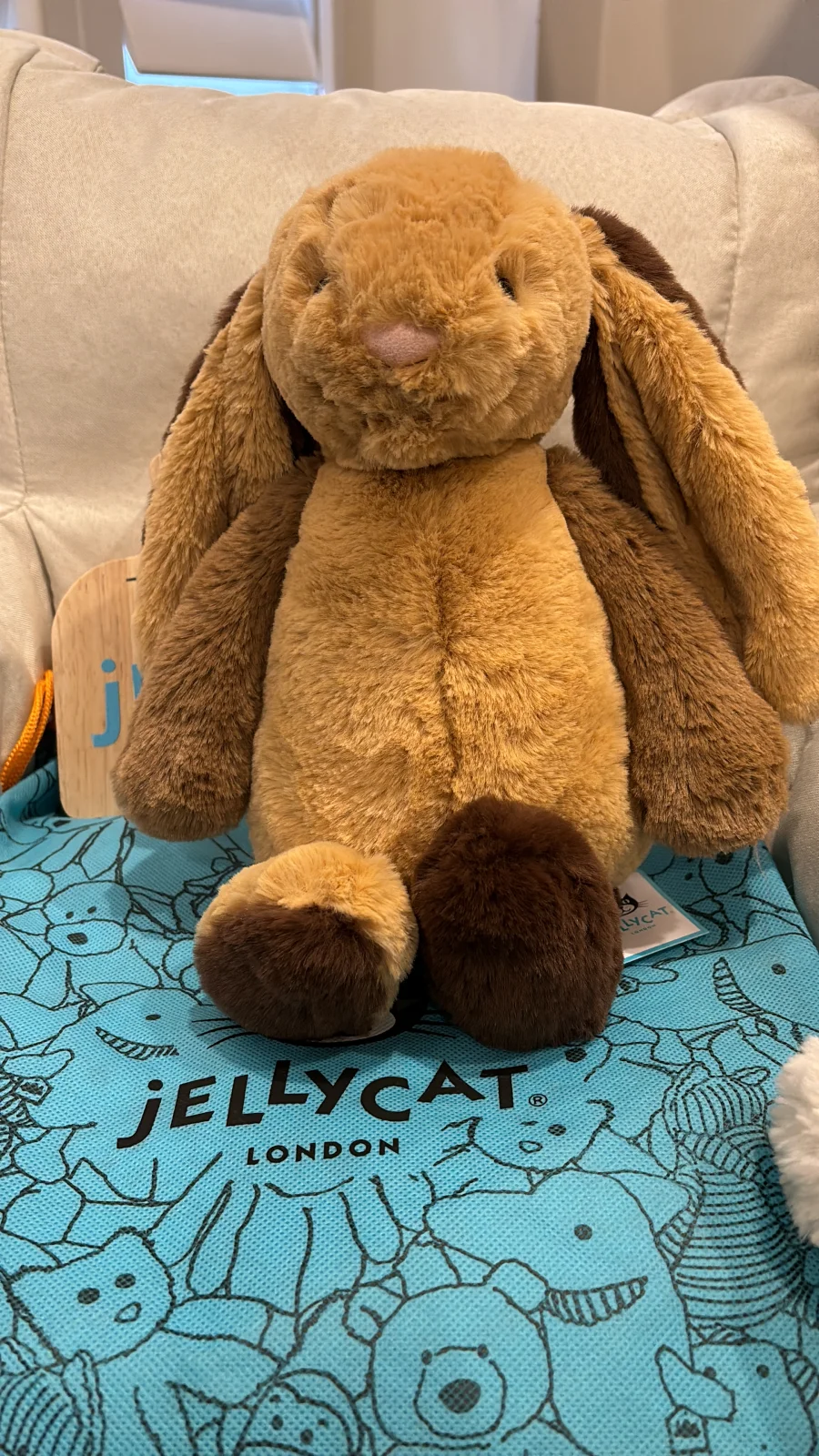 Front - Bashful Patchwork Brown Bunny photo by Mia_hug_a_jelly