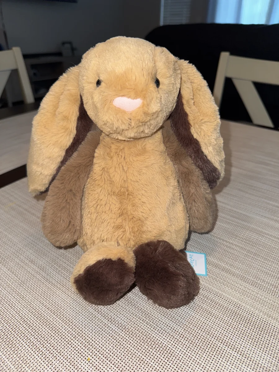 Front - Bashful Patchwork Brown Bunny photo by sophiedonovann