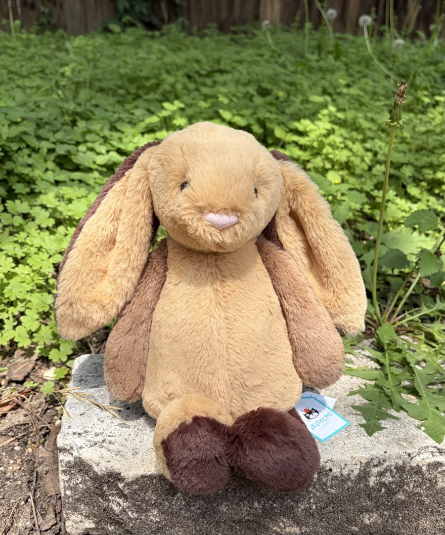 Front - Bashful Patchwork Brown Bunny photo by AmberrGolden