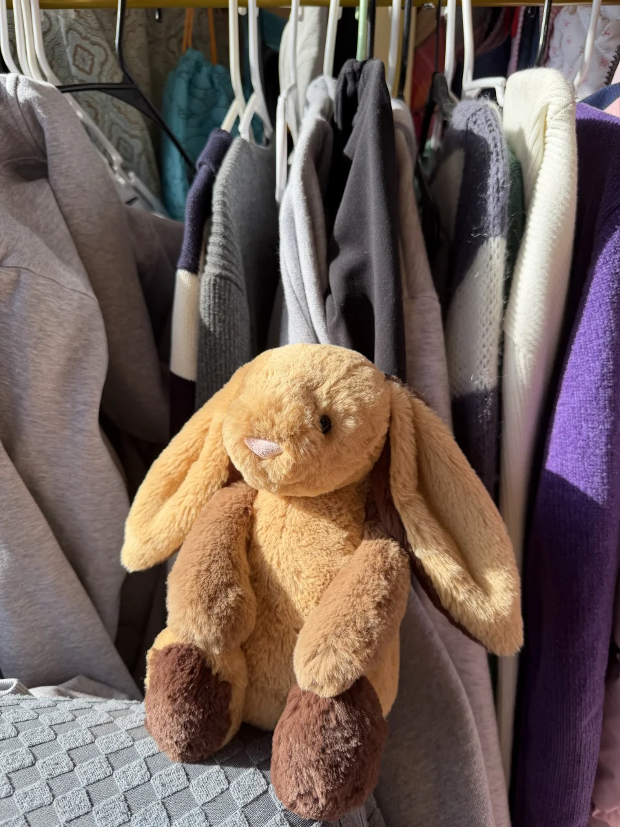 Front - Bashful Patchwork Brown Bunny photo by jellycatangel