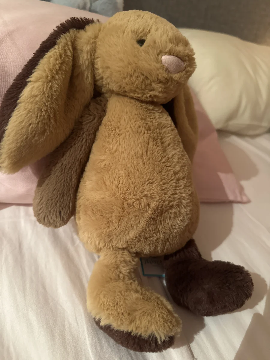Side - Bashful Patchwork Brown Bunny photo by EmilyMunk