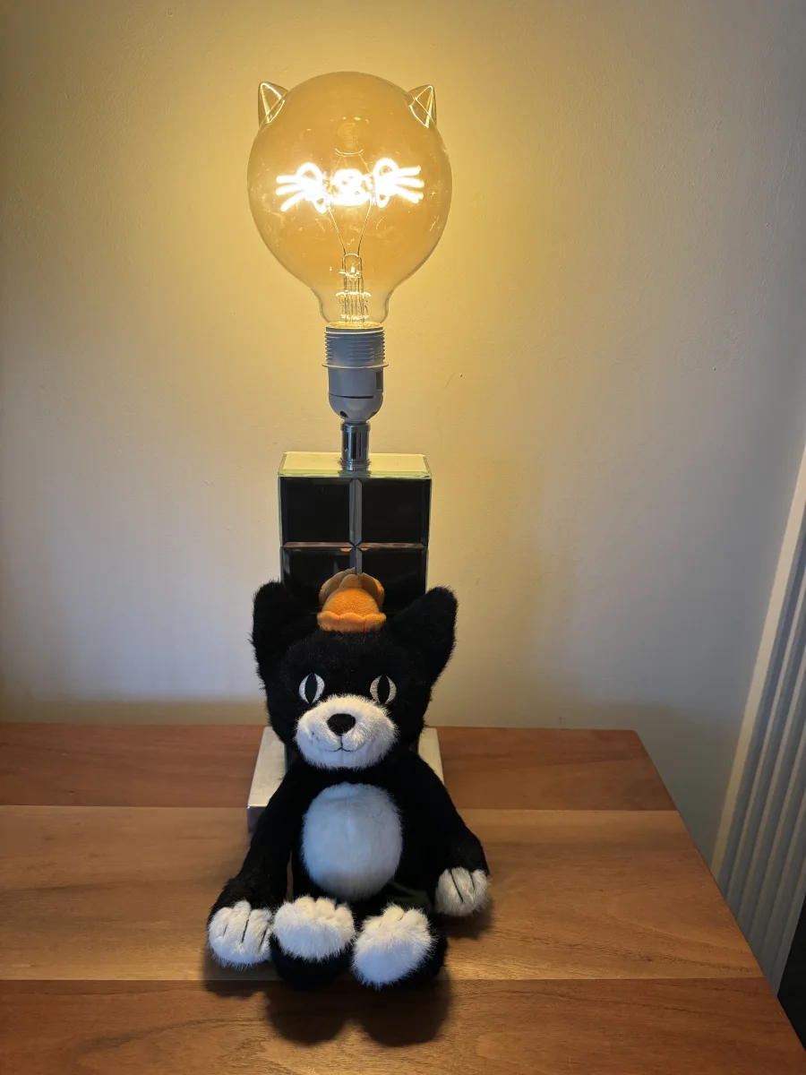 Front - Jellycat Jack Junior photo by Myjellycuddles