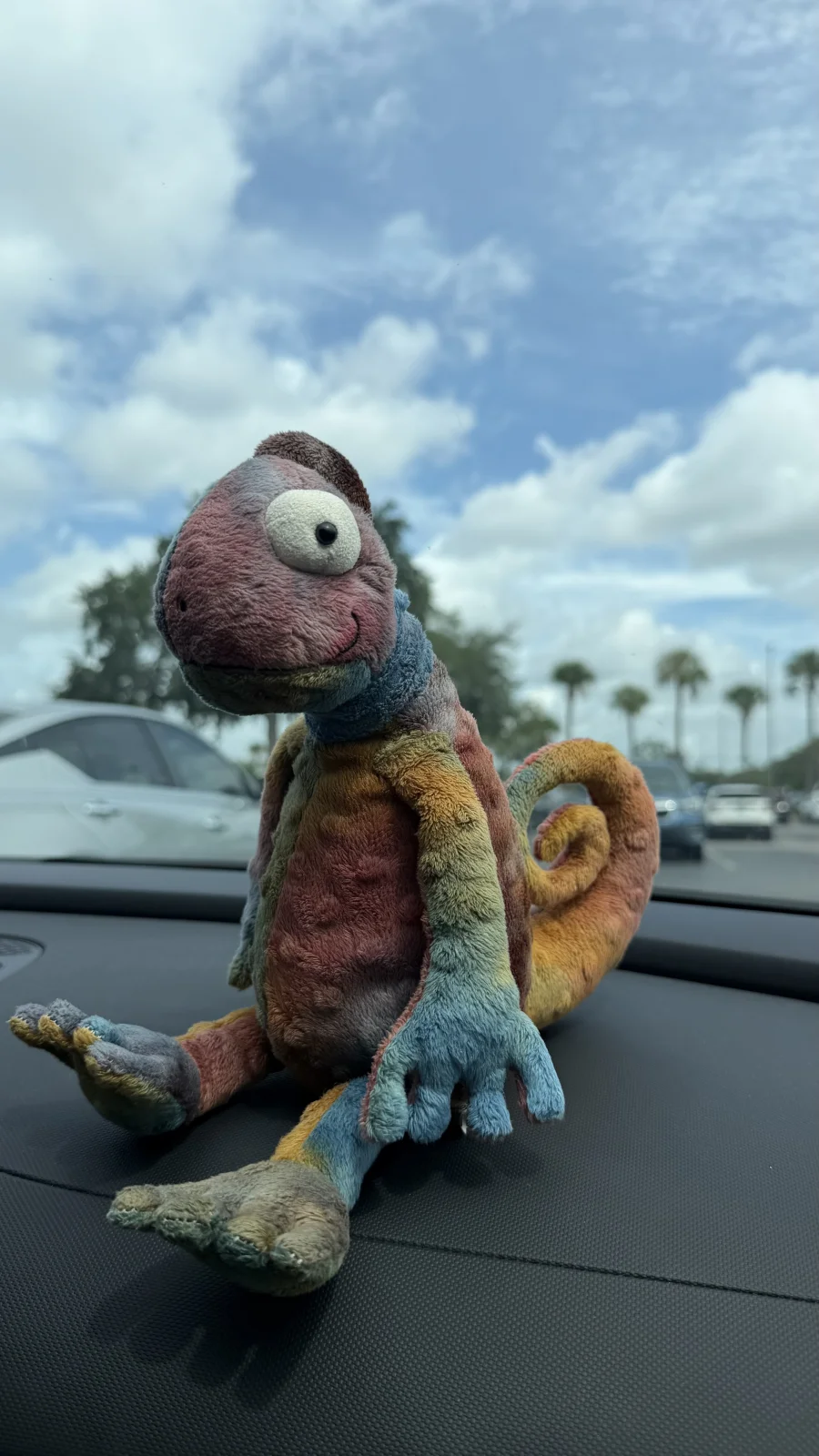 Side - Colin Chameleon photo by bronzieandthejellies