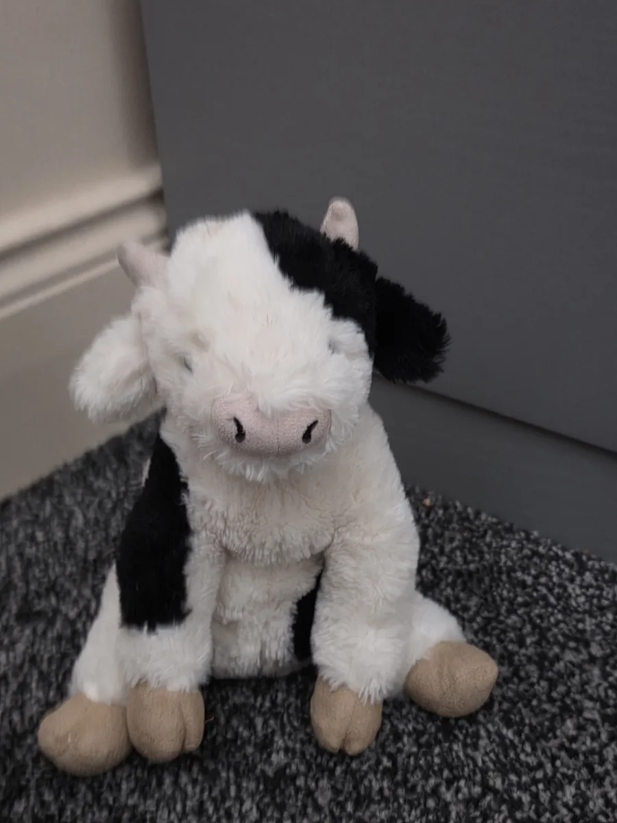 Front - Bunglie Cow - Small photo by Bengrif123