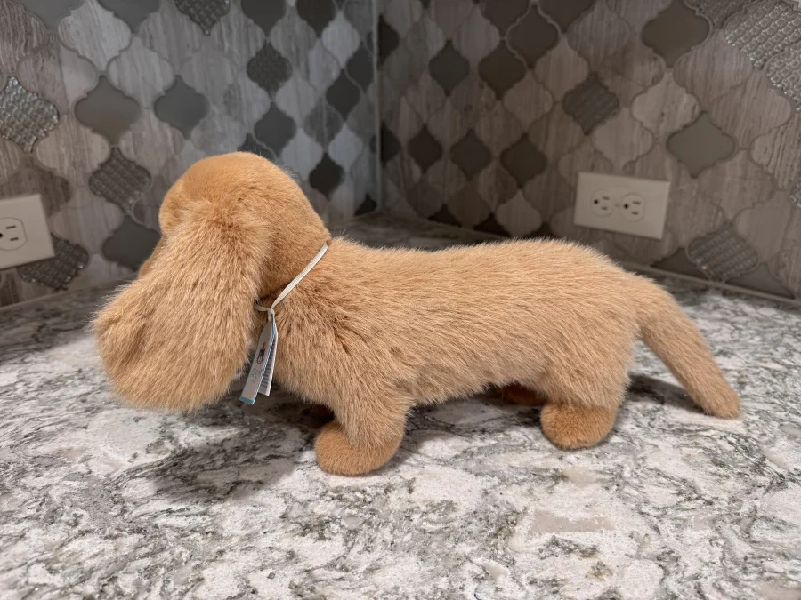 Side - Pecanine Sausage Dog 🇩🇪 photo by SnowLeopard821