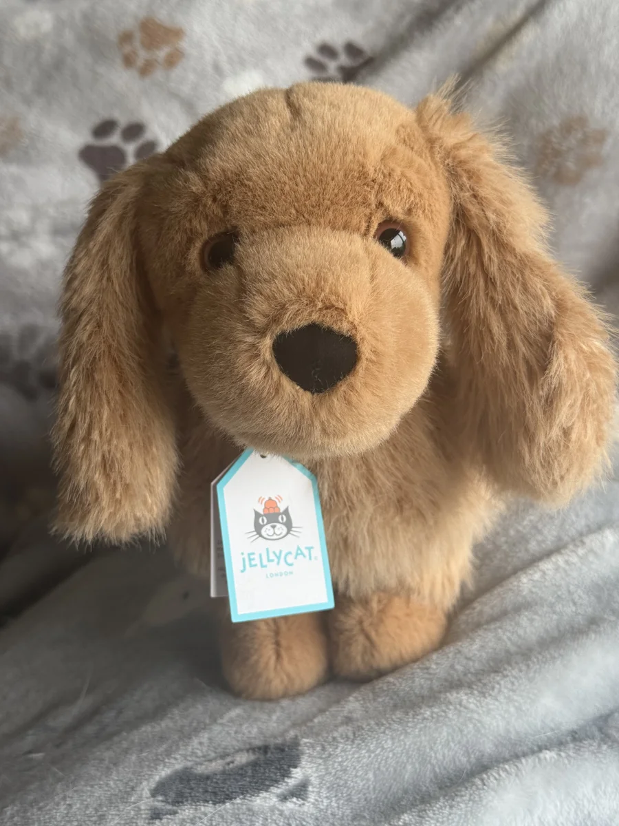 Pecanine Sausage Dog Jellycat Photo by Nella99 | Jelly Journal