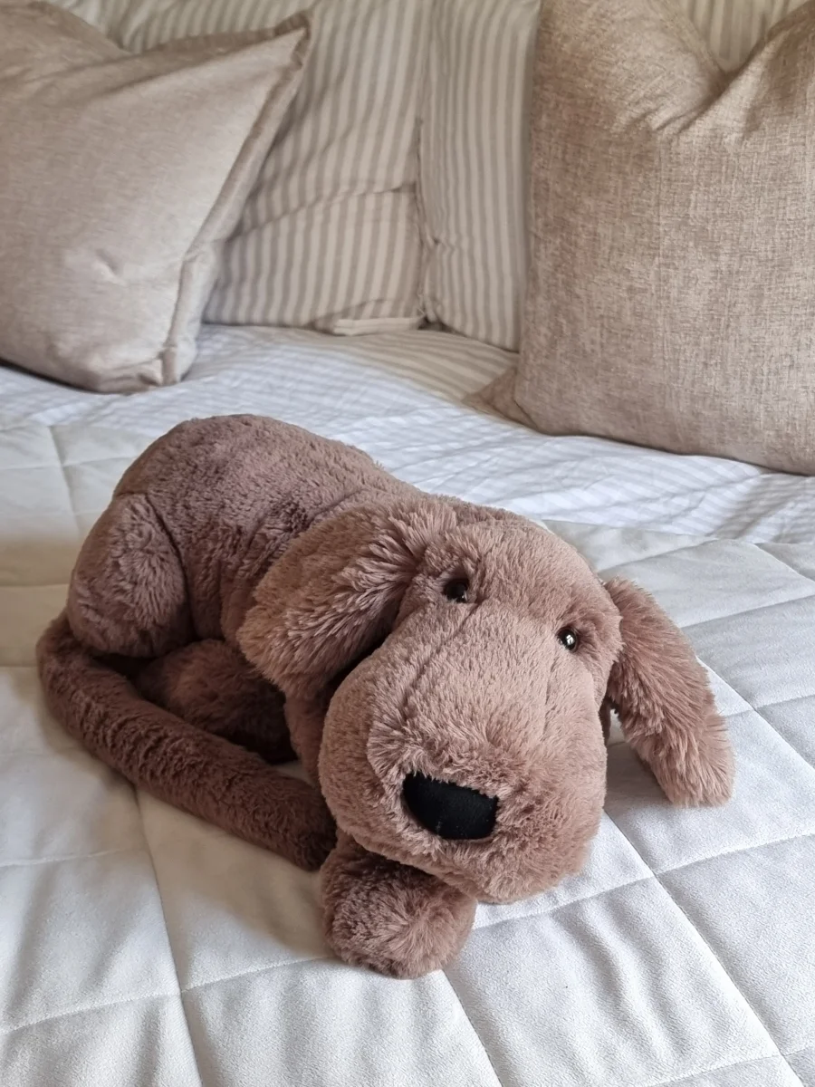 Front - Henry Hound - Large photo by Pachicat