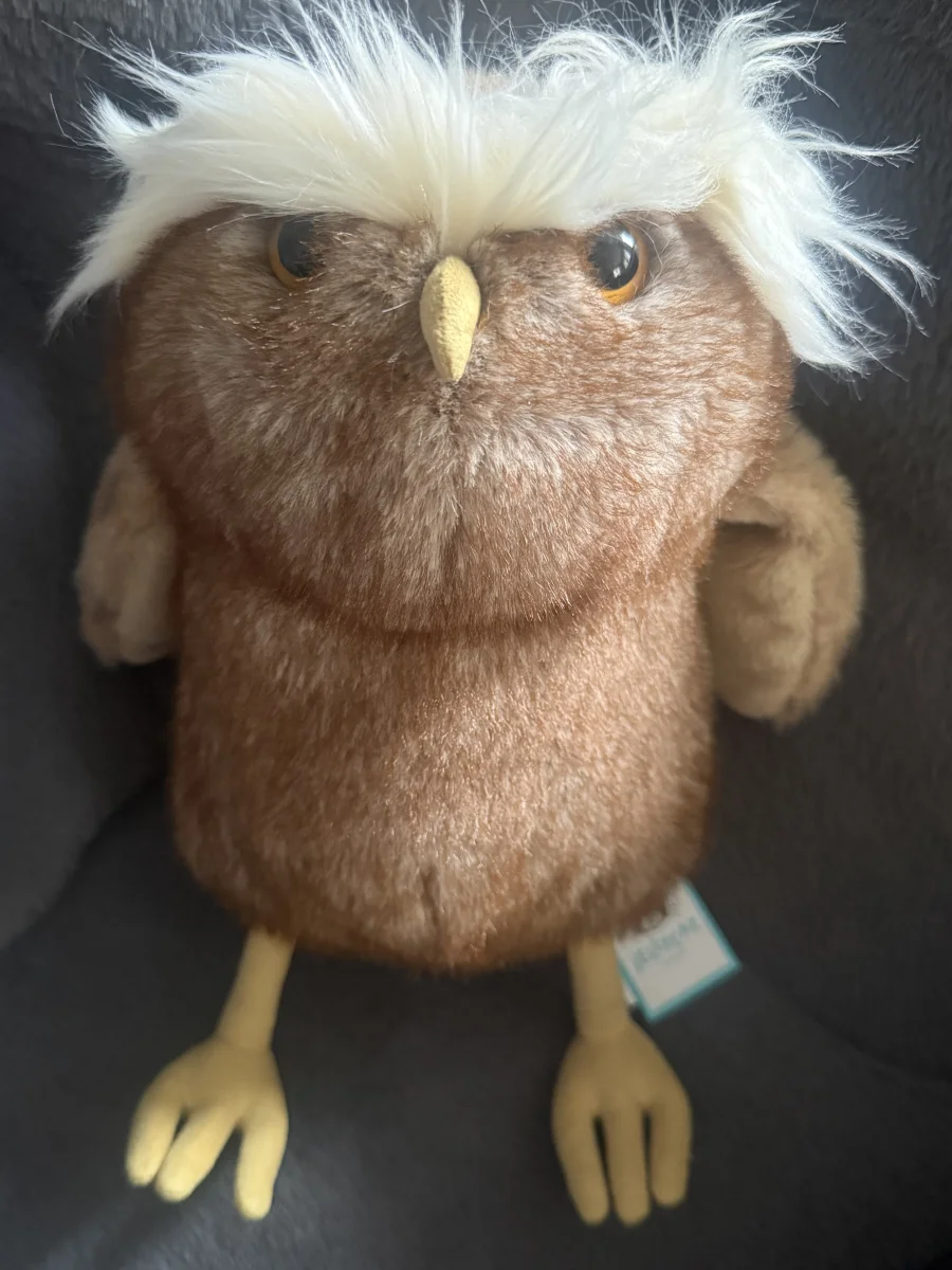 Front - Tawoola Owl photo by Jellykaz
