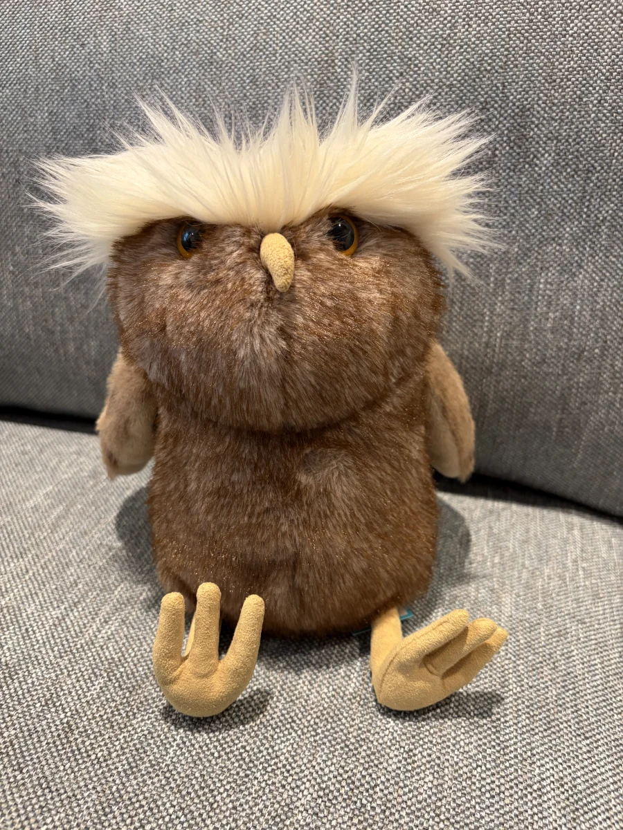 Front - Tawoola Owl photo by miap20