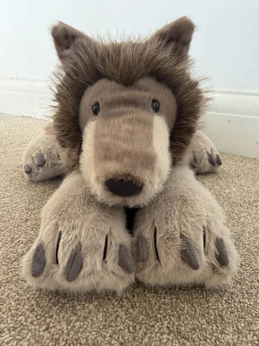 Front - Ulrich Wolf photo by daisymay02
