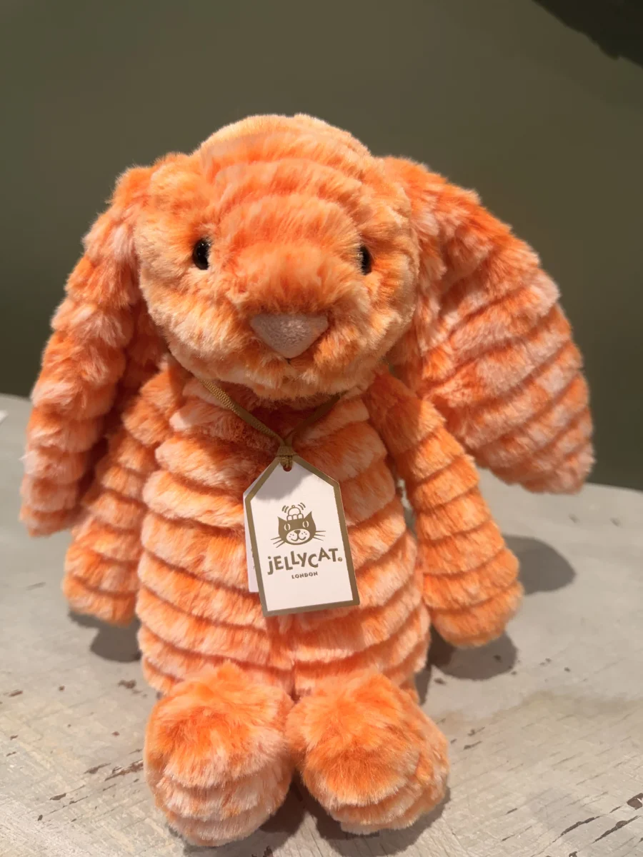 Front - Fizzleskip Bunny photo by Costagirljellies