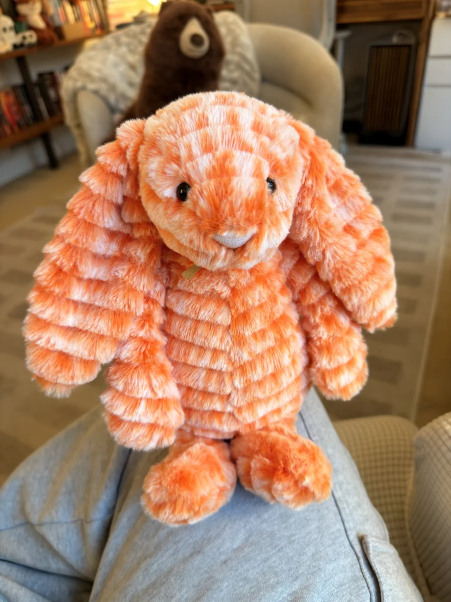 Front - Fizzleskip Bunny photo by Saltedcoffee