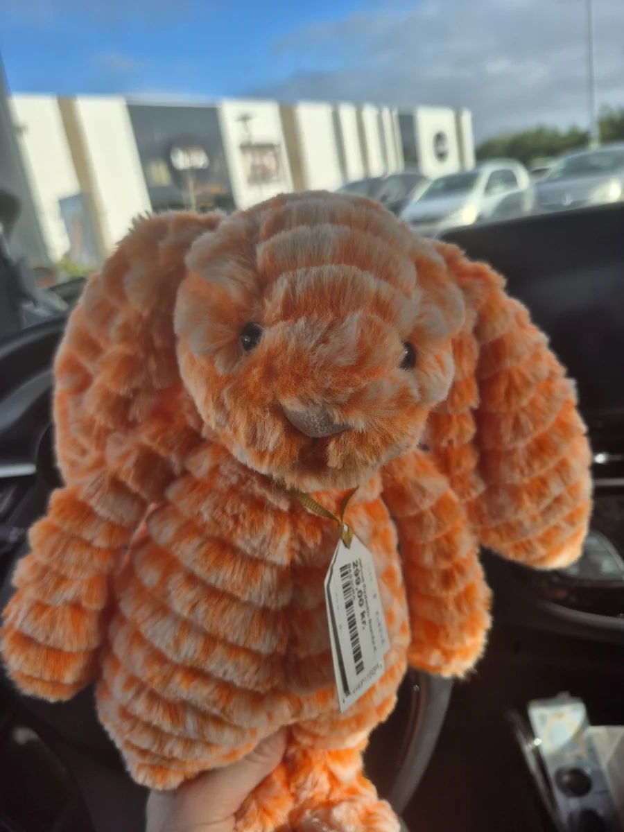 Front - Fizzleskip Bunny photo by Jellyjoy2