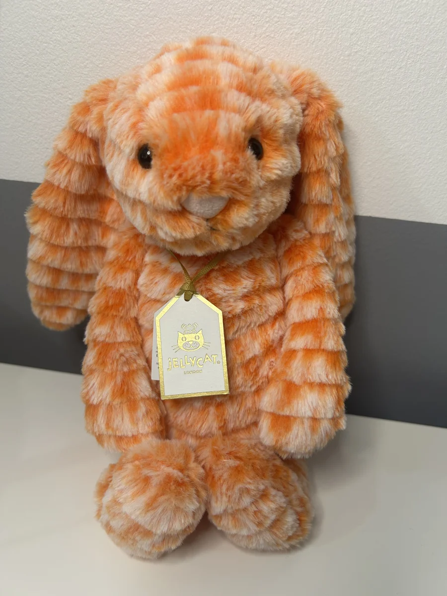 Front - Fizzleskip Bunny photo by TishWish