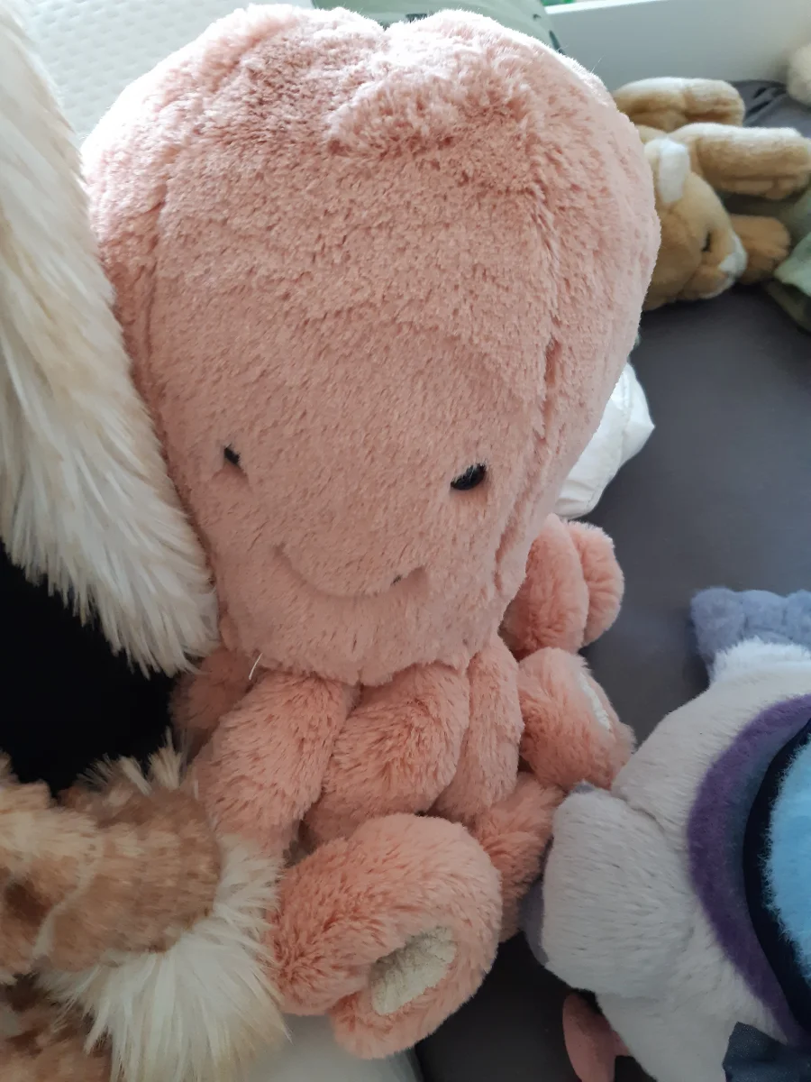 Front - Odell Octopus - Large photo by HenryZ