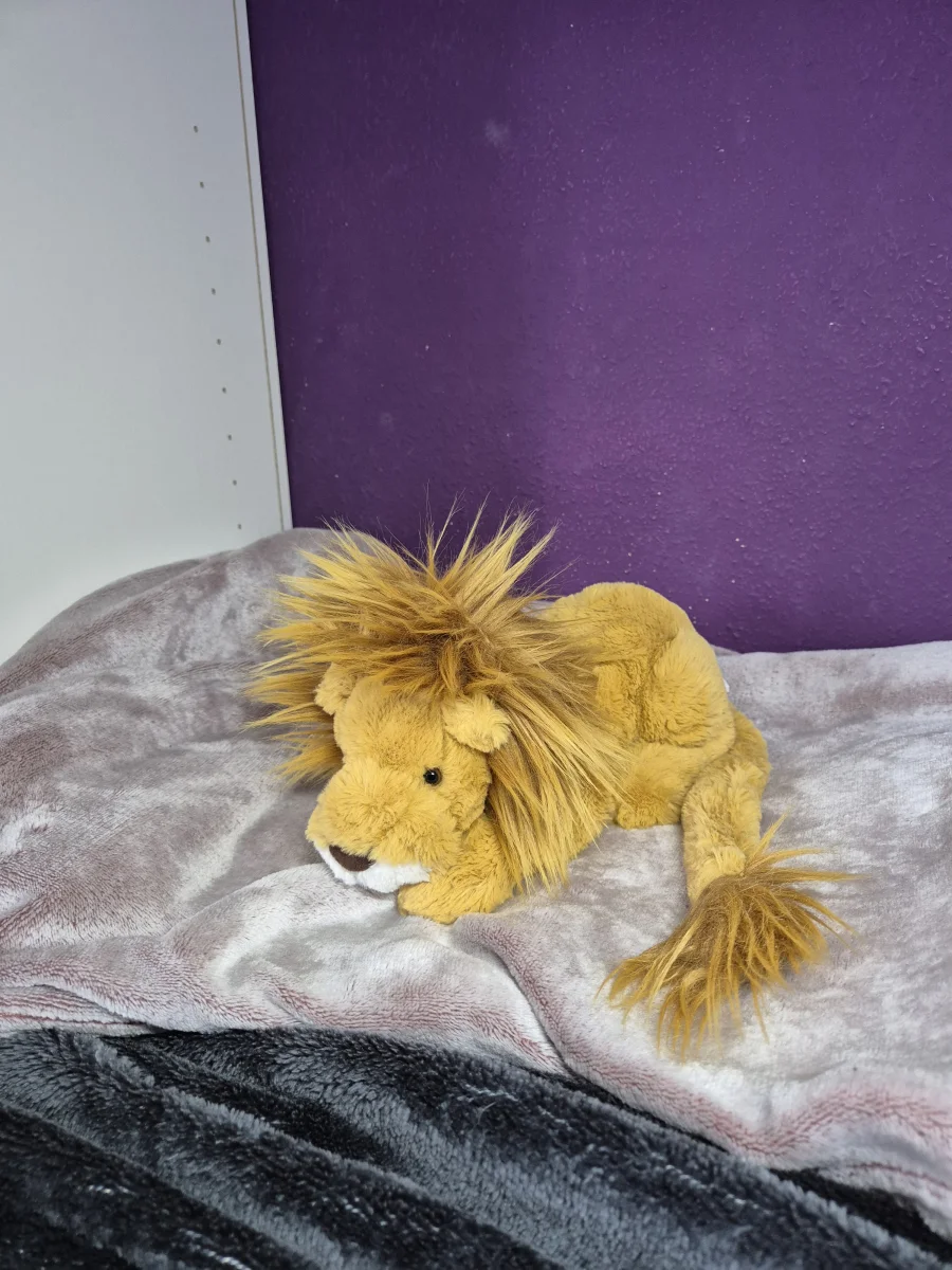 Side - Louie Lion - Little photo by ctrlvmoon