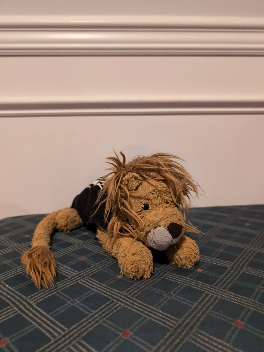 Lifestyle - Louie Lion - Little photo by thewayoftheduck