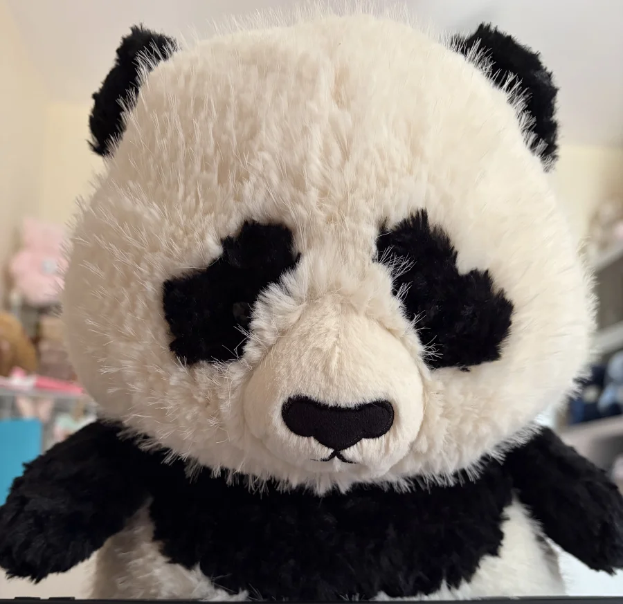 Front - Bambasnooze Panda 🇨🇳 photo by WeeRed71
