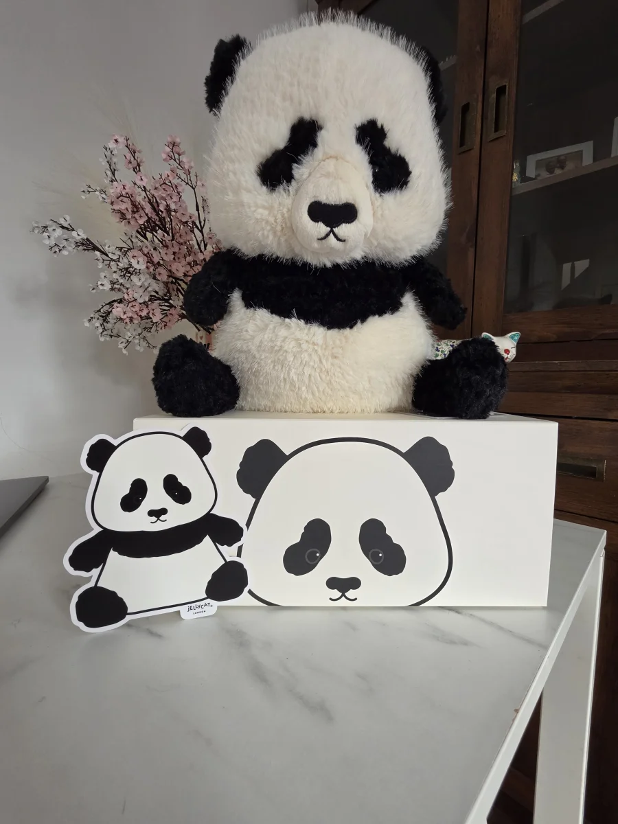 Front - Bambasnooze Panda 🇨🇳 photo by justagirlandherjellies