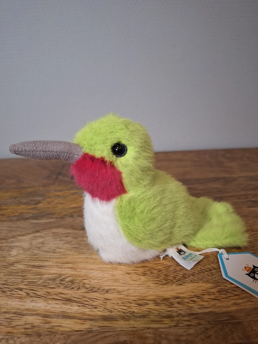 Front - Birdling Hummingbird photo by Sofie