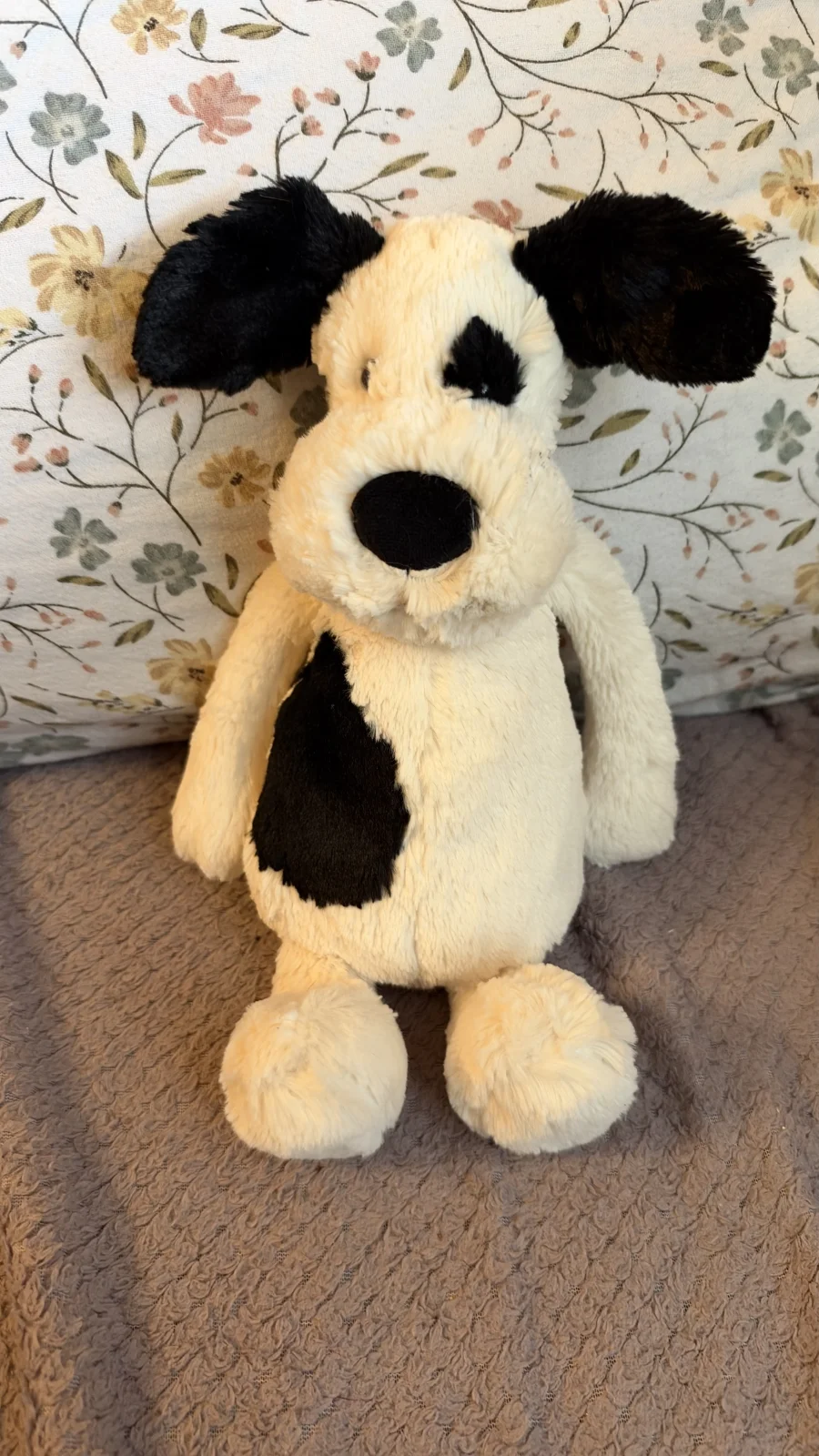 Front - Bashful Rufferty Puppy - Medium photo by superswagunicorn