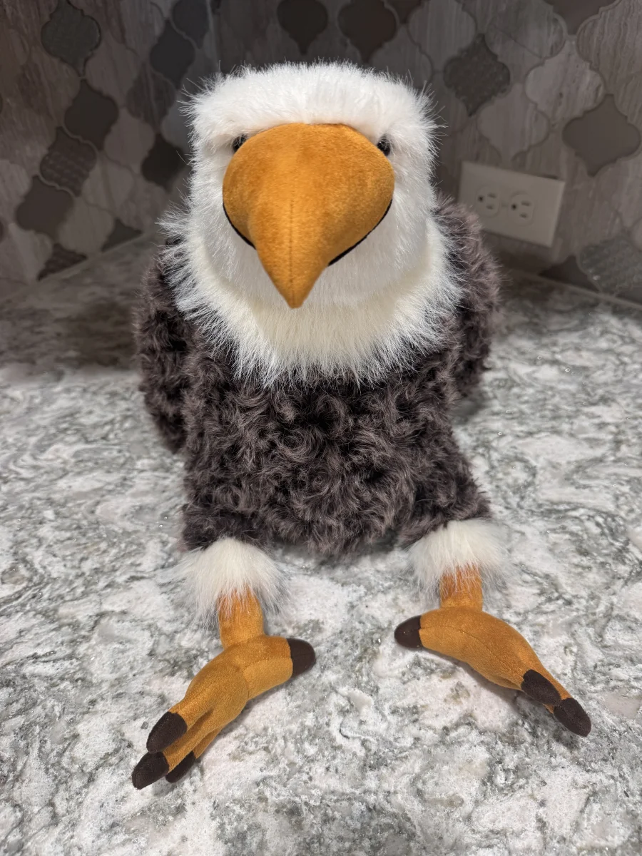 Front - Algernon Eagle 🇺🇸 photo by SnowLeopard821