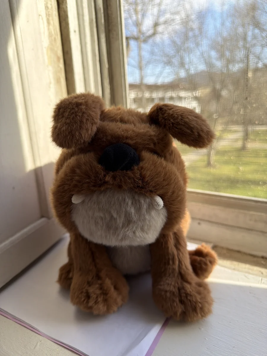 Front - Derreck Dog photo by katsjellies