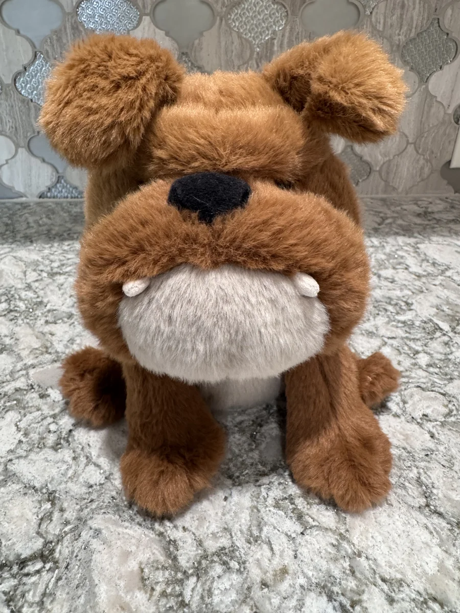 Front - Derreck Dog photo by SnowLeopard821