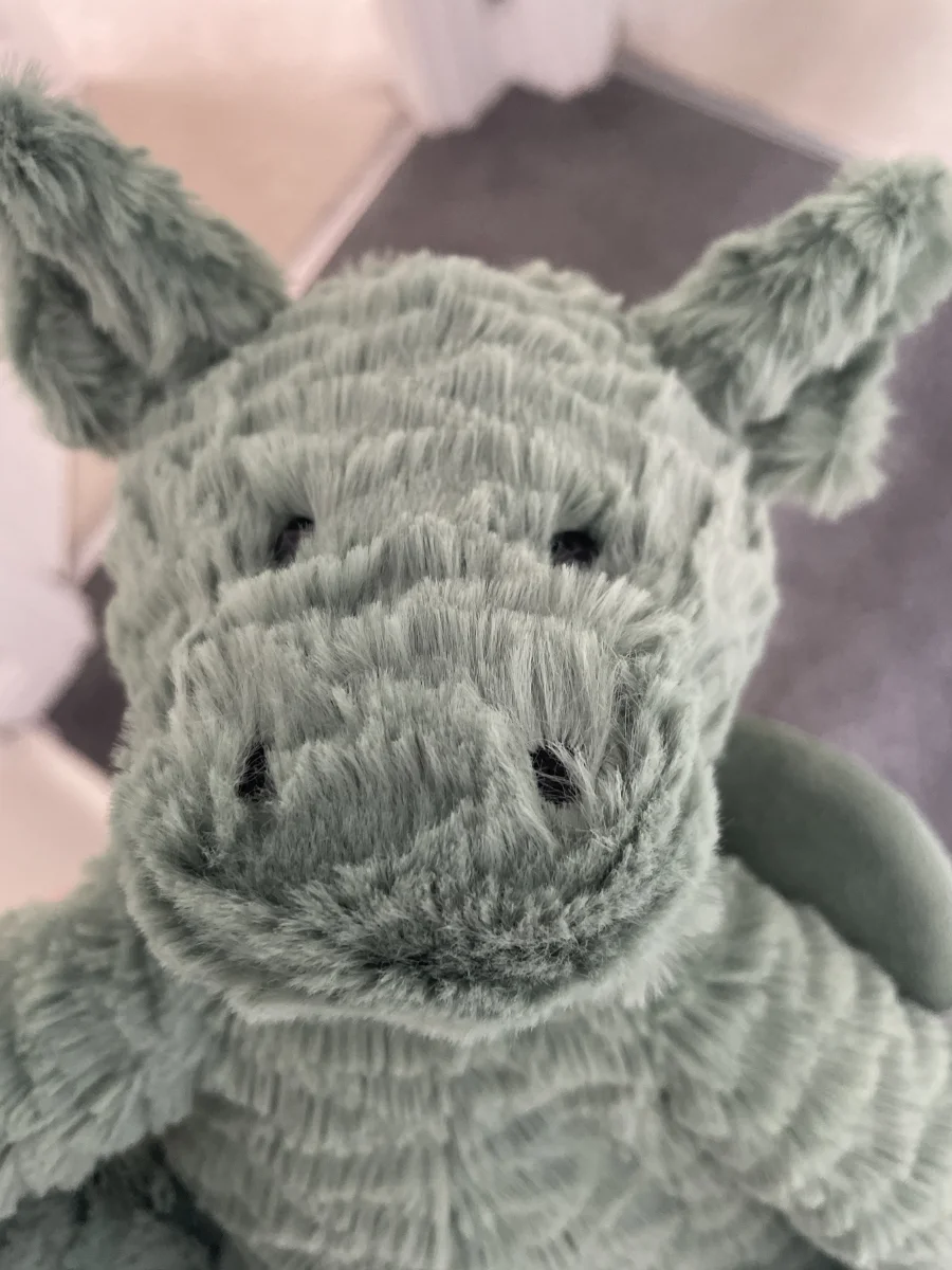 Front - Fuddlewuddle Dragon photo by buzzy_cat12