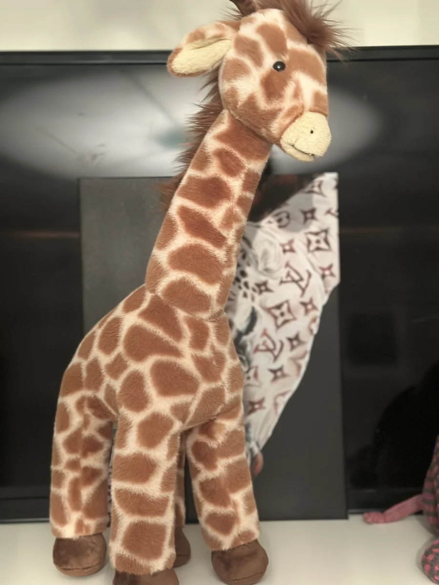 Front - Dara Giraffe photo by Clare