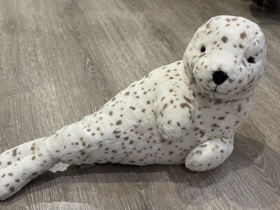 Front - Sigmund Seal photo by BunnyBPatt