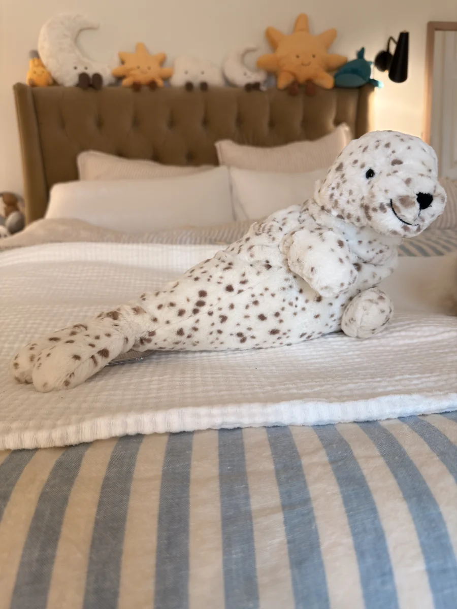 Front - Sigmund Seal photo by Saltedcoffee