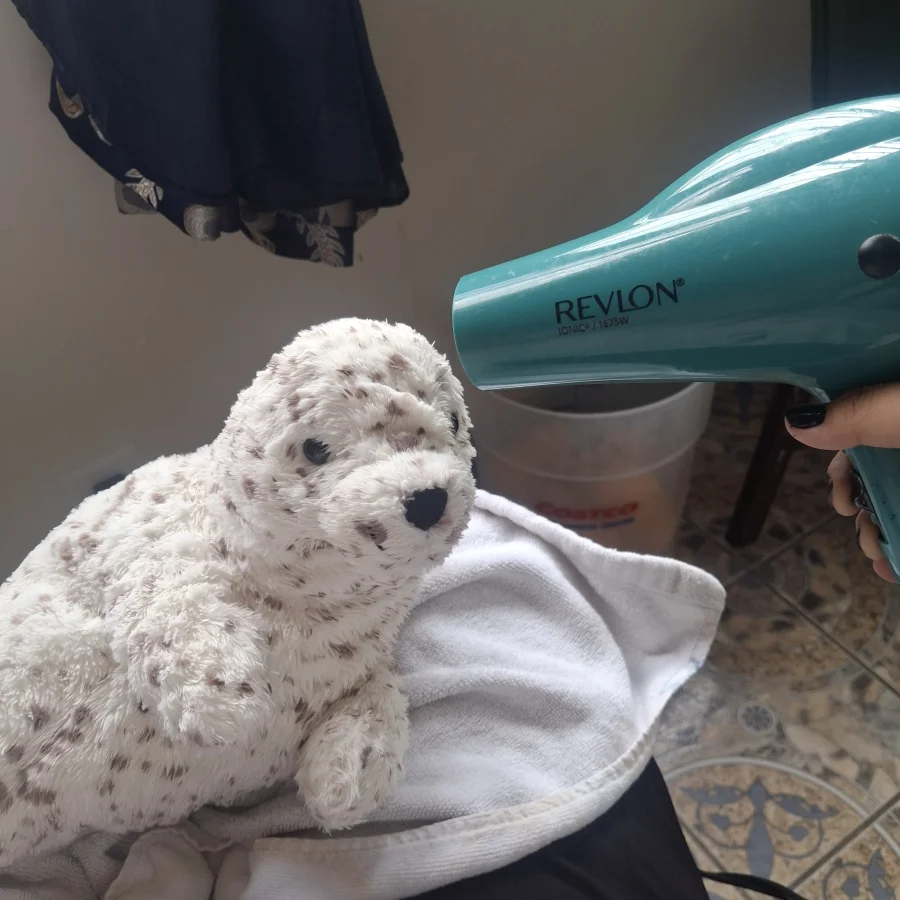 Lifestyle - Sigmund Seal photo by Branz_jellies
