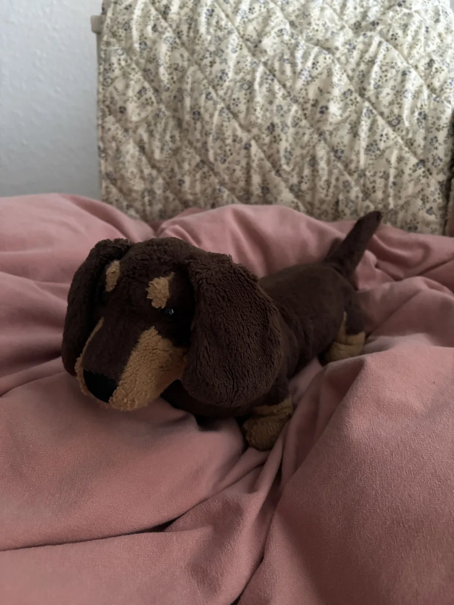 Side - Otto Sausage Dog - Medium photo by milahlnd