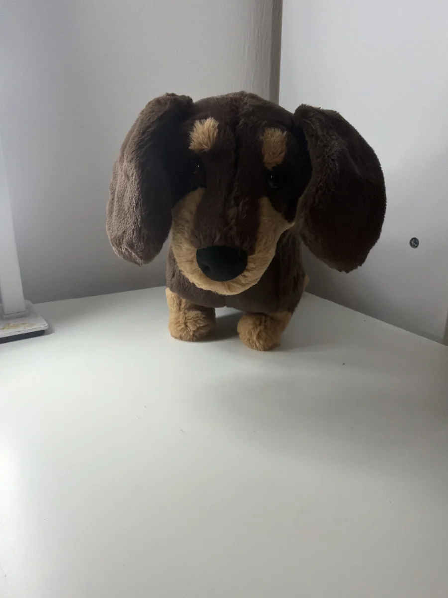 Front - Otto Sausage Dog - Medium photo by Jellycatobsessed