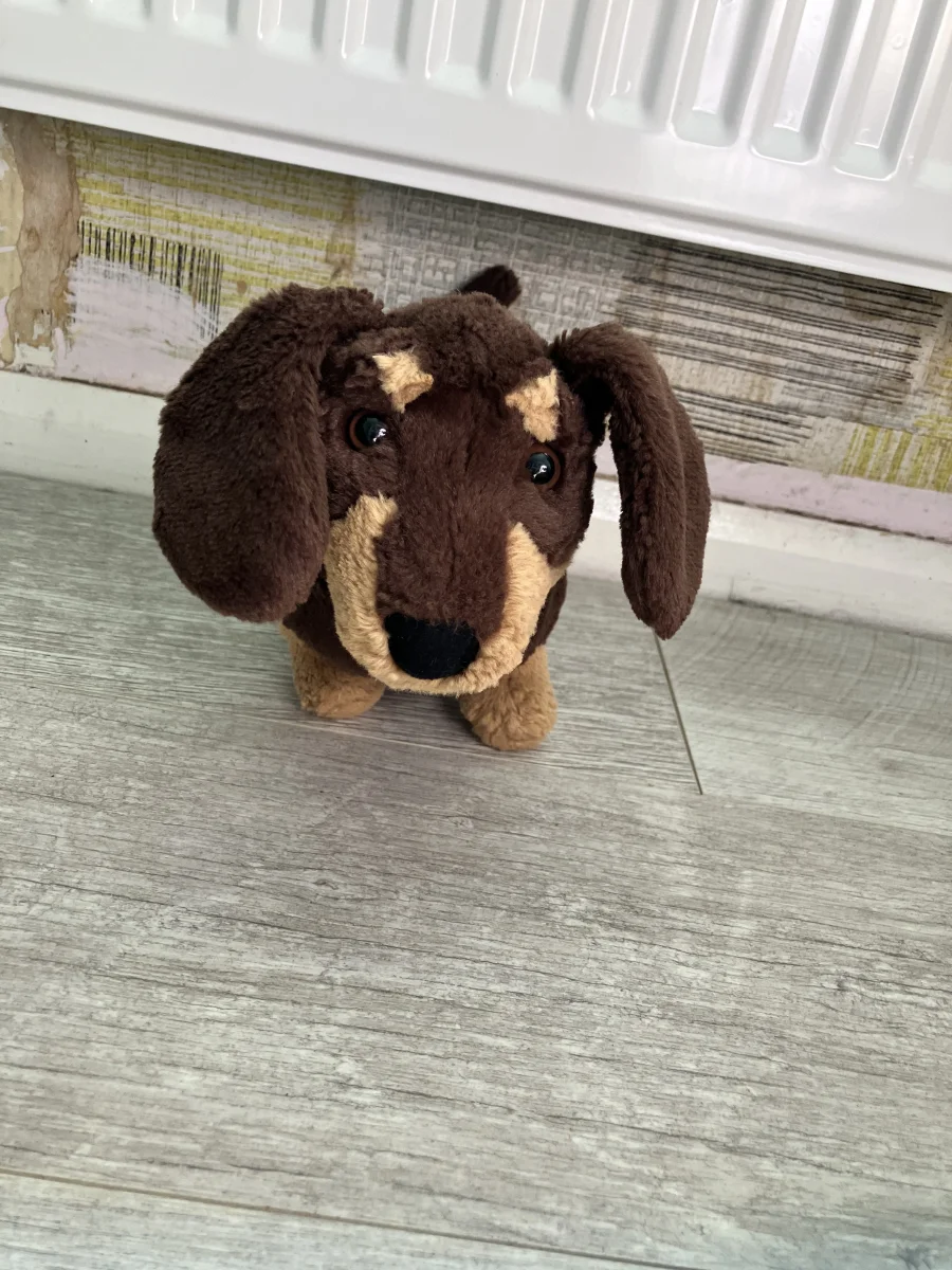 Front - Otto Sausage Dog - Medium photo by eloise098