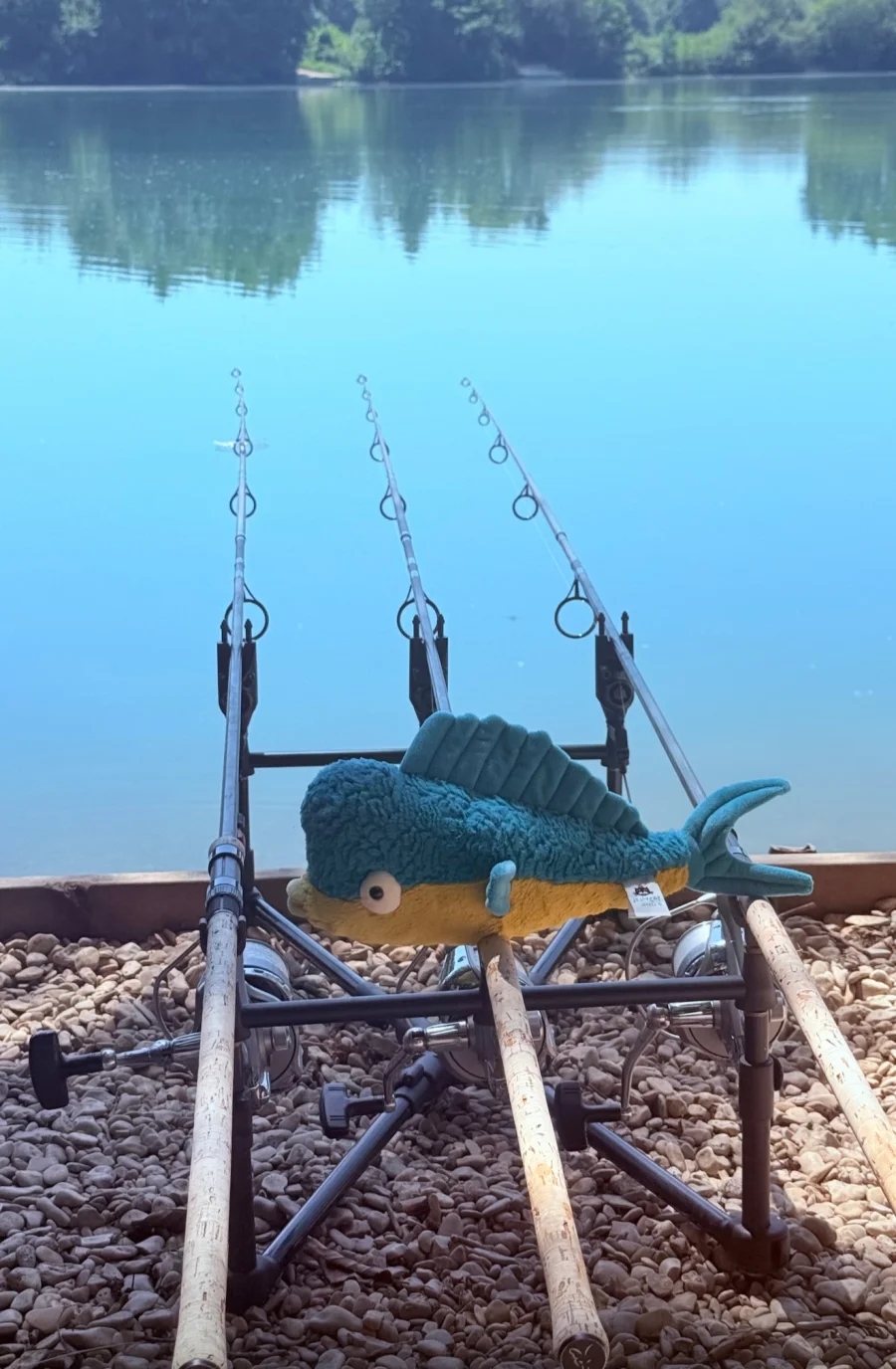 Front - Delano Dorado Fish photo by JenniferLou
