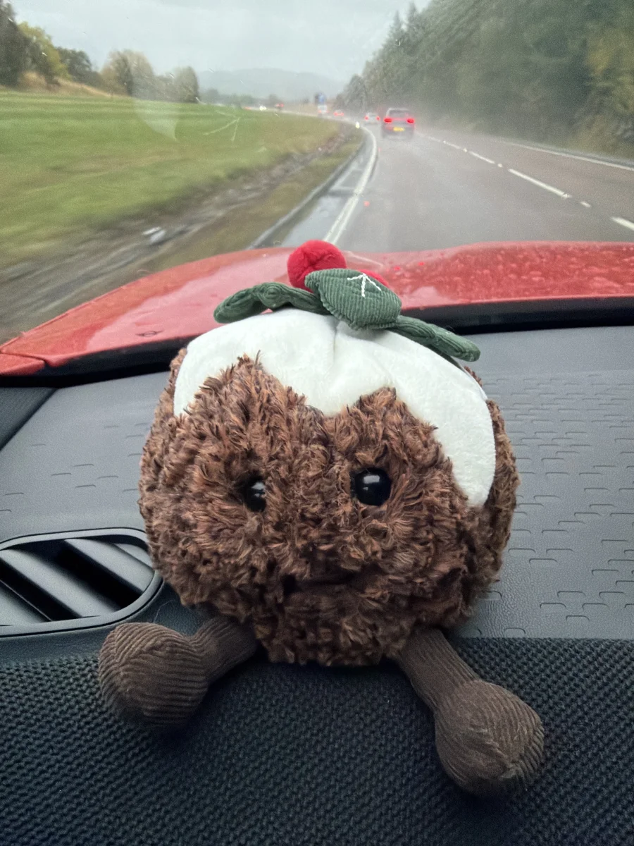 Front - Amuseables Christmas Pudding photo by Madison_Marie